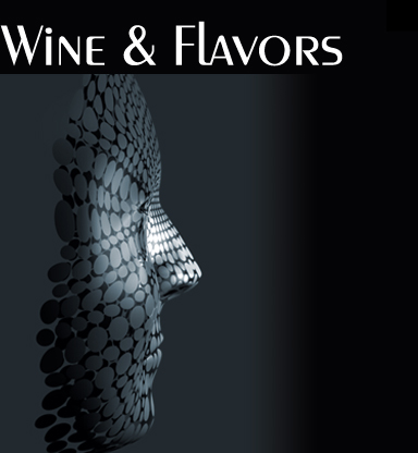 Wine and Flavors